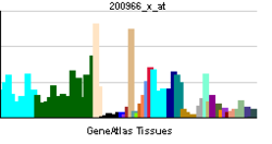 PBB GE ALDOA 200966 x at tn.png