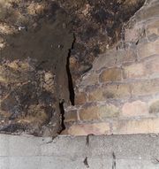 Cladosporium cellar
