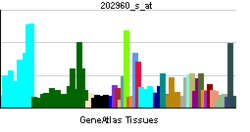 PBB GE MUT 202960 s at tn.png