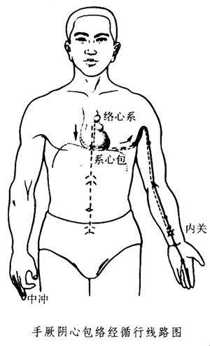 心包经循行线路图