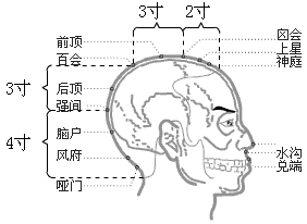 督脉穴