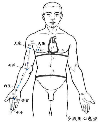 手厥阴心包经