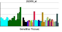 PBB GE MUT 202959 at tn.png