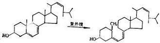 麦角甾醇　维生素D2