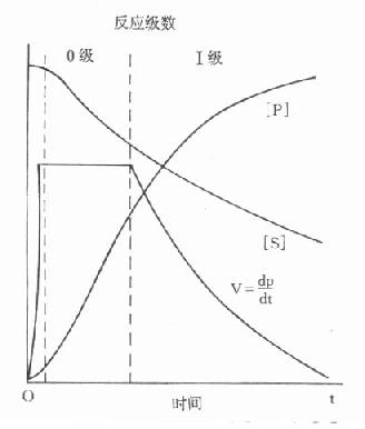 酶促反应中基质［S］、产物［P］