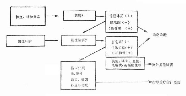 肝性脑病的诊断程序