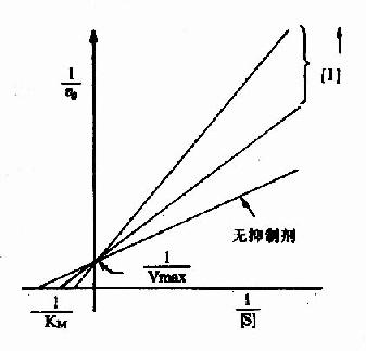 竞争性抑制