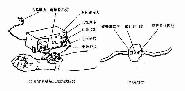 青霉素过敏反应的快速试验器