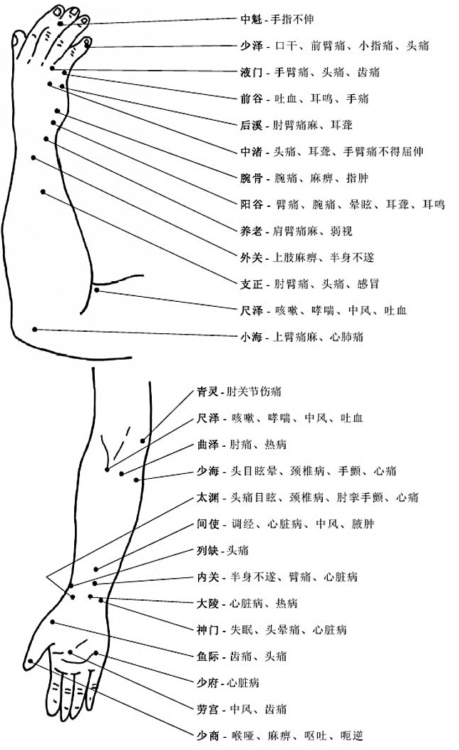 上肢穴位和穴位功能