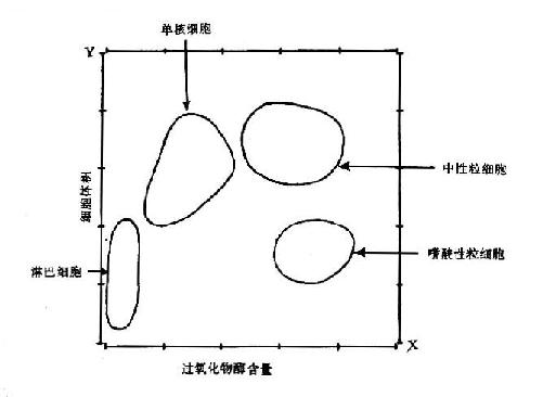 激光与细胞化学联合检测白细胞直方示意图