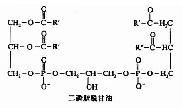 Gra3q2u5.jpg