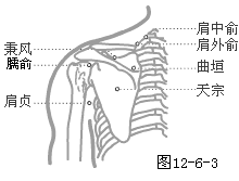 手太阳小肠经穴