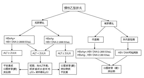 慢性乙型肝炎治疗一般流程图