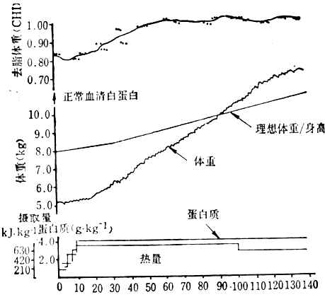 年龄16个月消瘦型蛋白质-能量营养不良患者治疗时去脂体重恢复情况