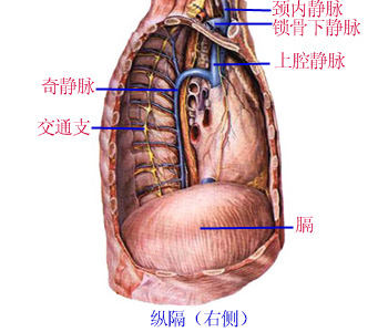 Glp37iek.jpg