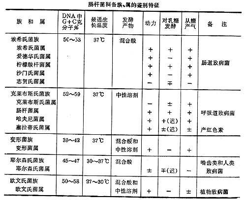 肠杆菌科各族、属的鉴别特征