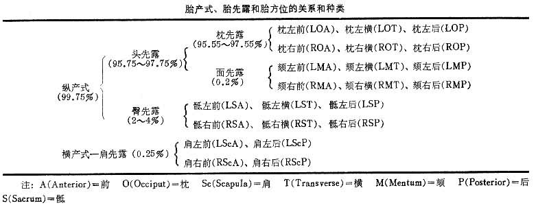 胎产式胎先露和胎方位的关系和种类