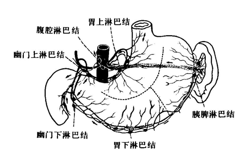 Glp3wccn.jpg