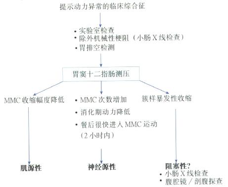 动力异常临床综合征诊断程序图