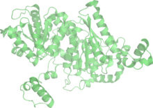 Glucose-6-phosphate isomerase 1GZV wpmp.png