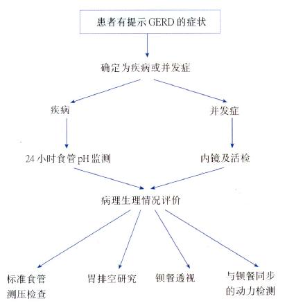 对疑似GERD患者的检查程序