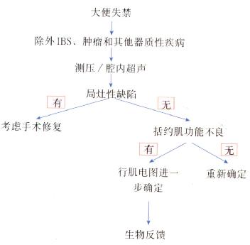 大便失禁病人处理流程