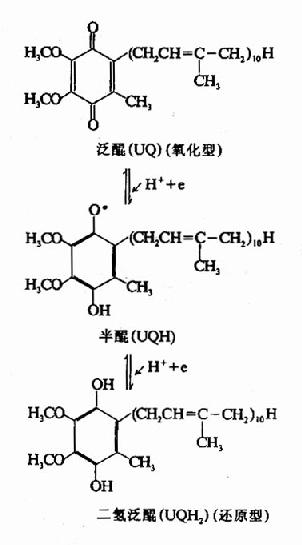 Gra6lf4s.jpg