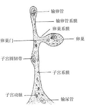 Gm79jqu0.jpg