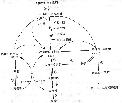 Gpze2ia8.jpg