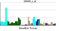 PBB GE GPI 208308 s at tn.png