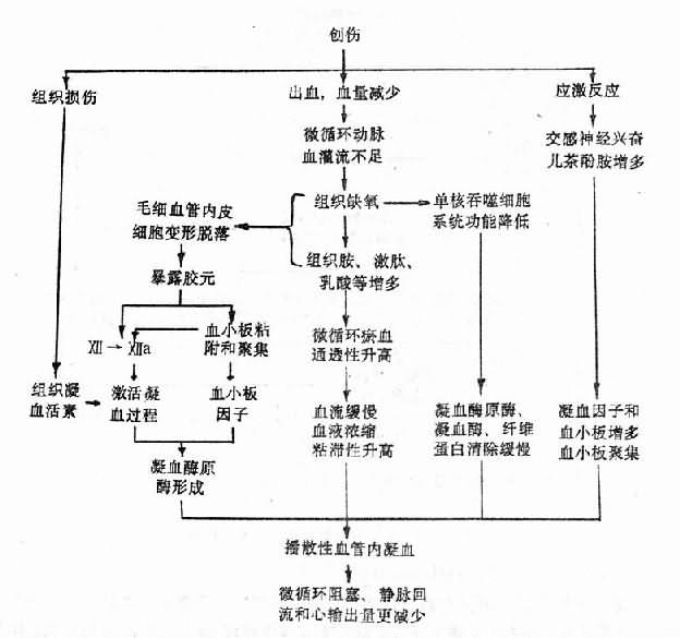 创伤性休克引起播散性血管内凝血的机理