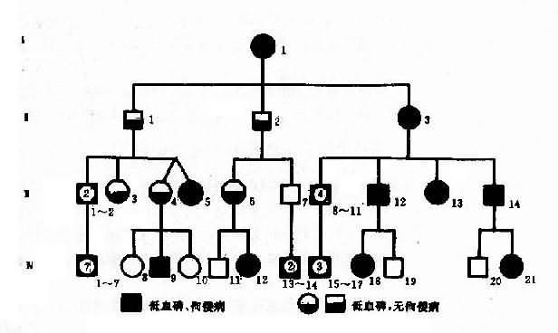 一例抗维生素D佝偻病系谱