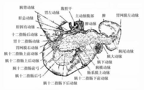 Glz4w209.jpg