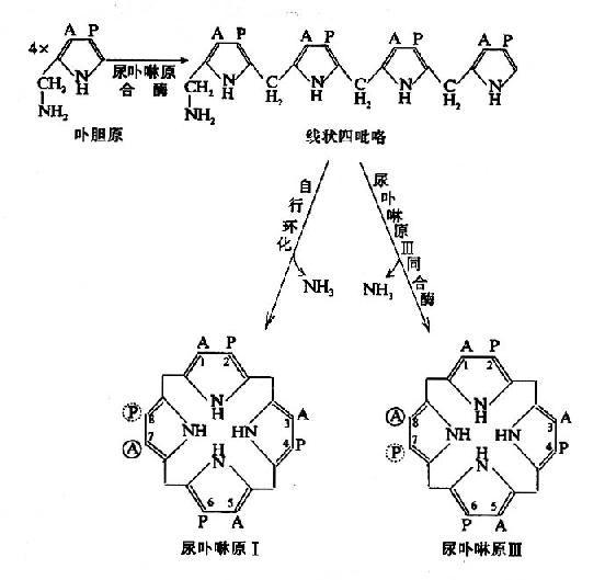 Gra9atc7.jpg