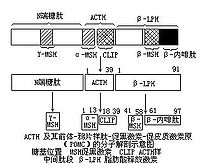 Bka6j.jpg