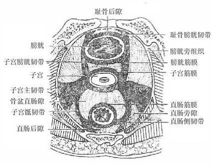 Gm79jofc.jpg