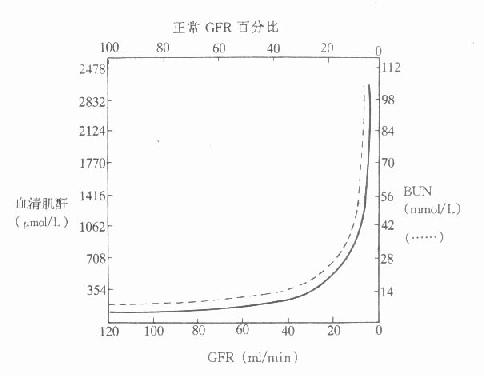 肾小球滤过率与血肌酐、尿素浓度的关系