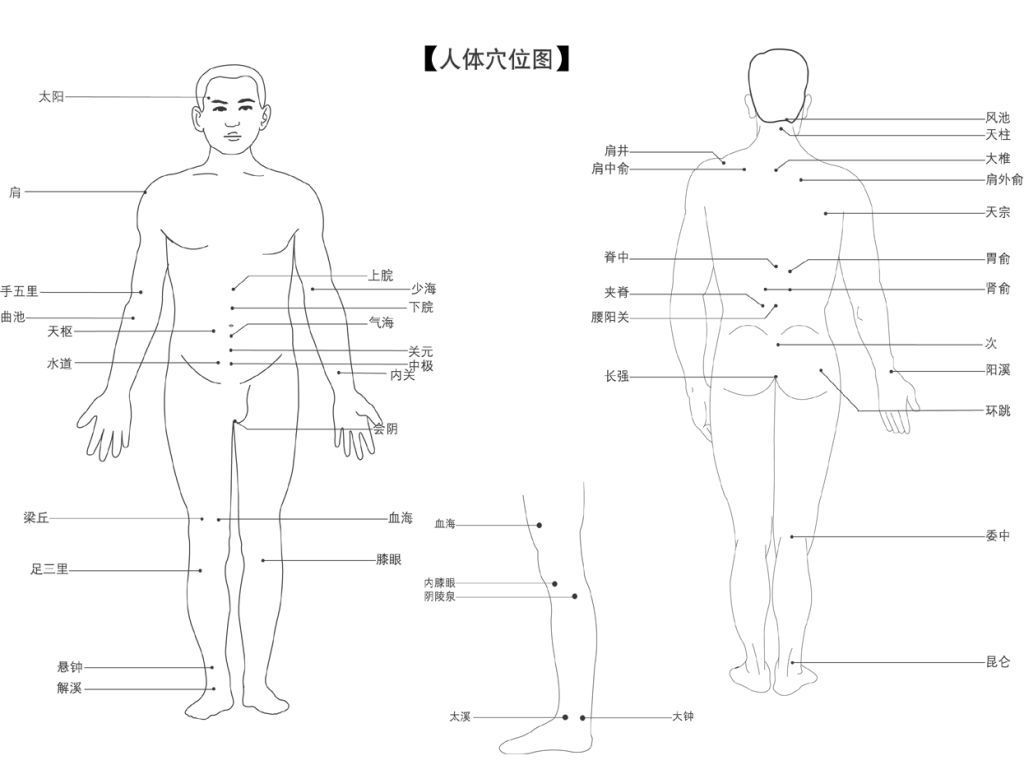 简明版人体穴位图