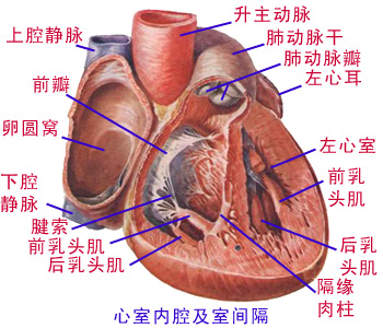 Glp171p9.jpg