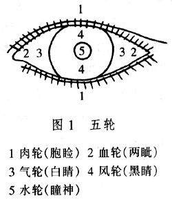 五轮