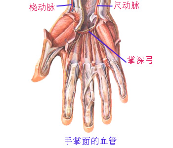 Glp21ud2.JPG