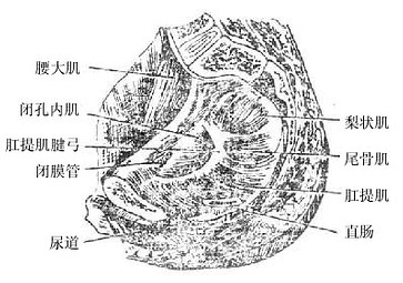 Gm79bes3.jpg