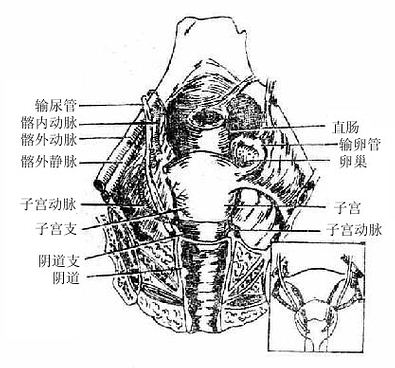 Gm79mazu.jpg