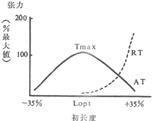 骨骼肌的长度～张力曲线