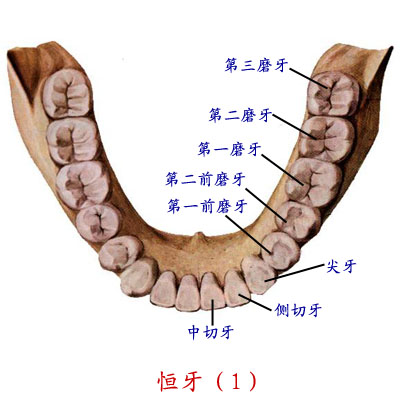 Glnh4aa4.JPG