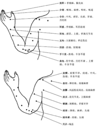 X shangzhi2.gif