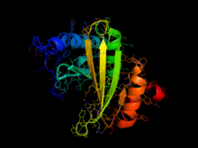 NADHdehydrogenase.png