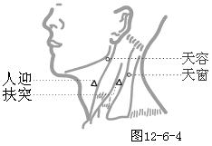 手太阳小肠经穴