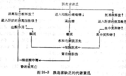 胰岛素缺乏的代谢紊乱