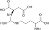 L-argino-succinate wpmp.png